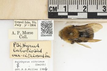 Media type: image;   Entomology 804666 Aspect: labels